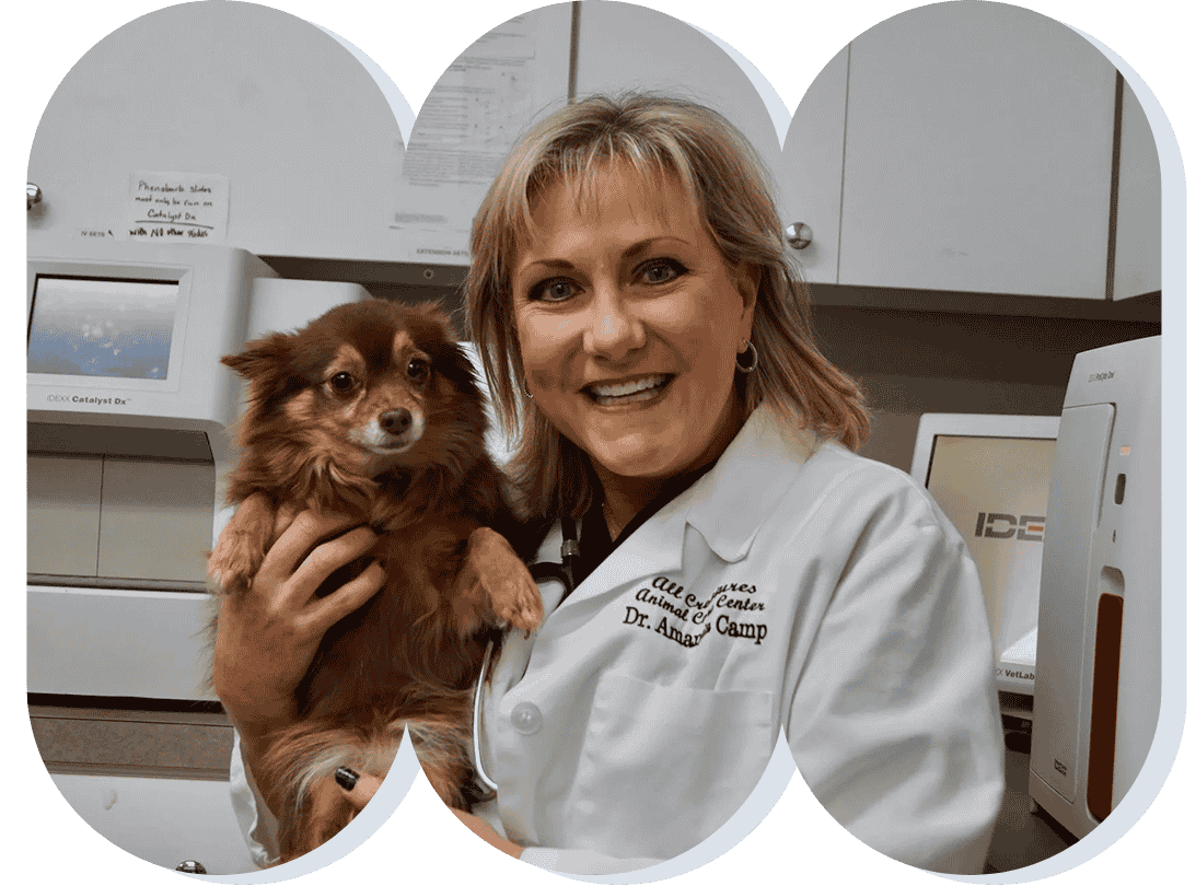 Dr. Amanda Camp
