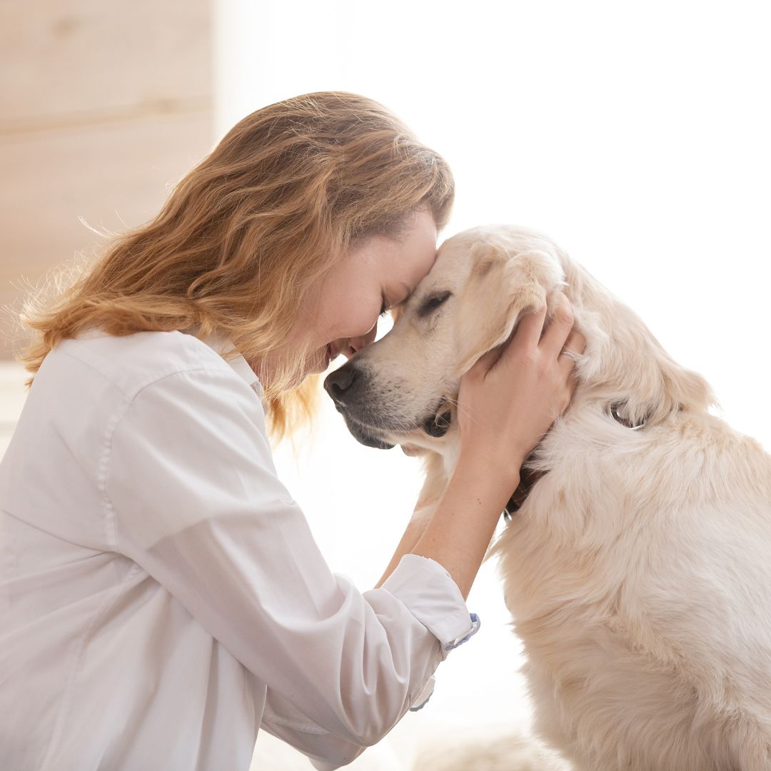 Affectionate bond woman and dog