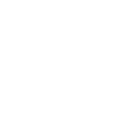 Boarding Check-In Form icon