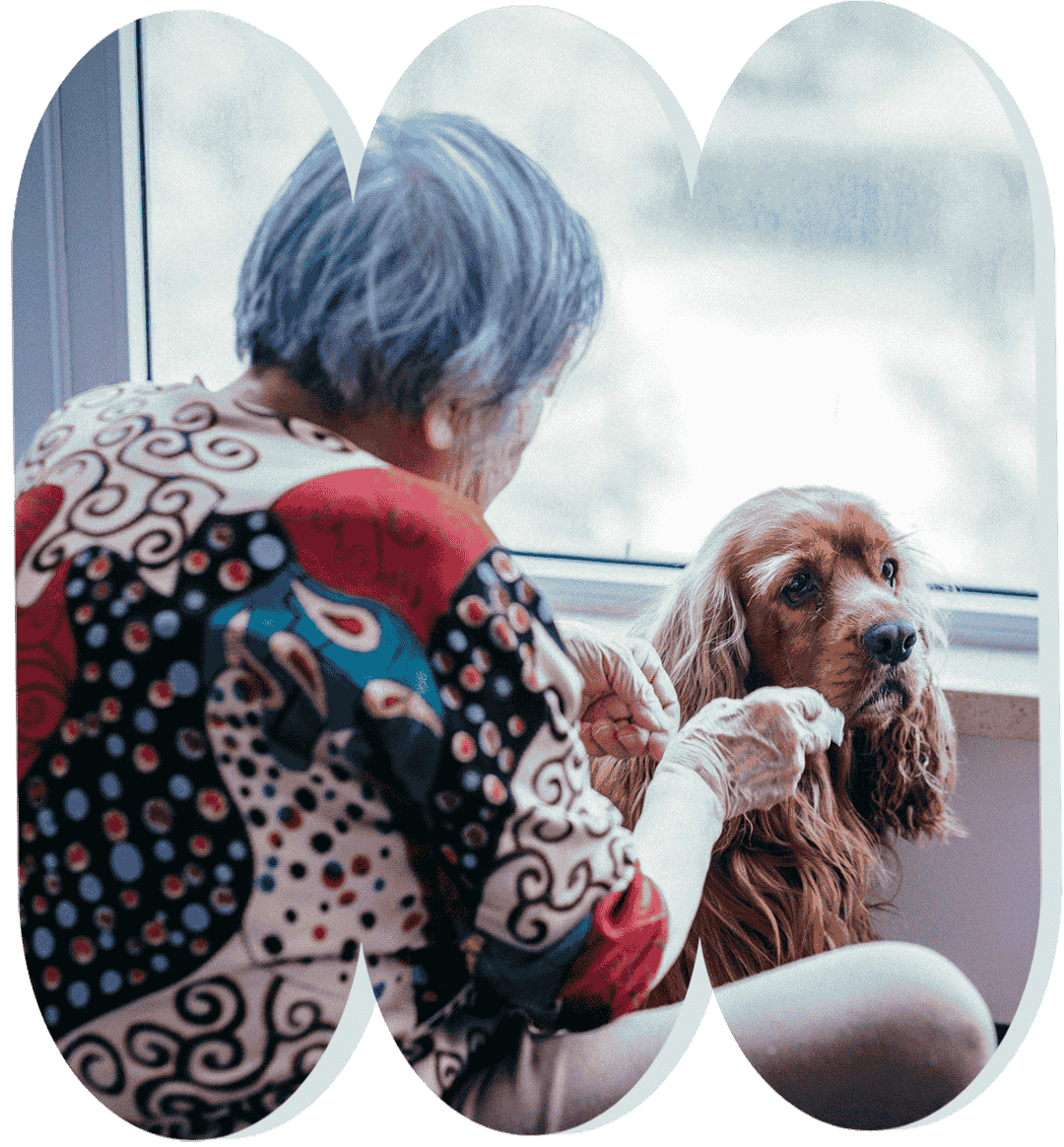 Woman tending to dog's eye